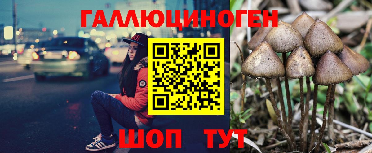 Псилоцибиновые грибы GOLDEN TEACHER Самара