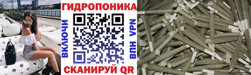 Шишки марихуана план  купить закладку  Самара 